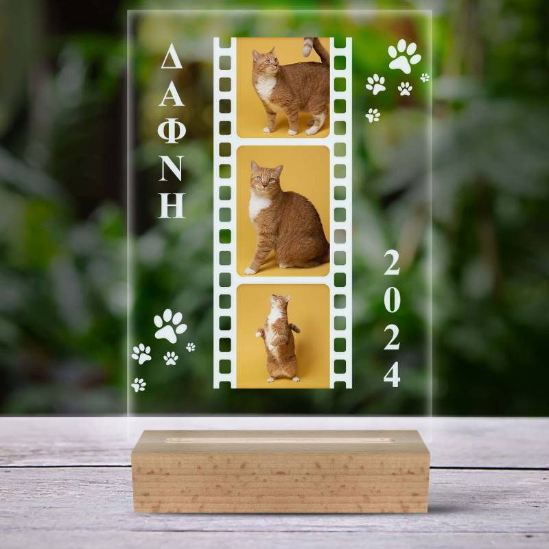 Εξατομικευμένη λάμπα LED - Γάτες