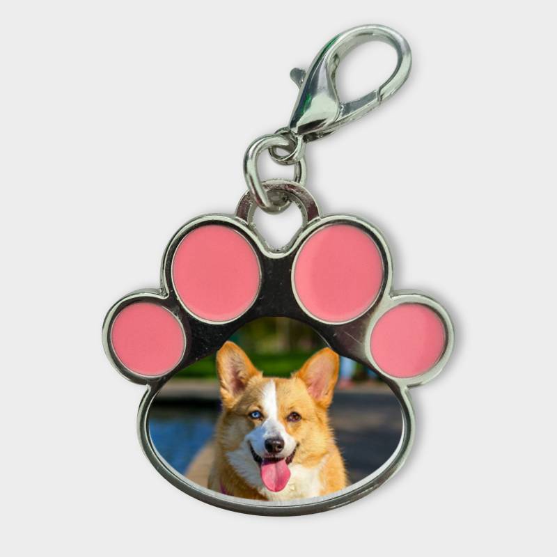 Εξατομικευμένο μενταγιόν για ζώα - Ζωάκι