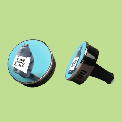 Μεταλλικό αρωματικό αποσμητικό - Ξεκουραζόμενη Γάτα