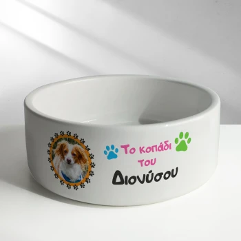 Εξατομικευμένα κεραμικά μπολ