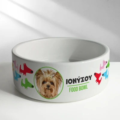 Εξατομικευμένο κεραμικό μπολ - Μπολ φαγητού