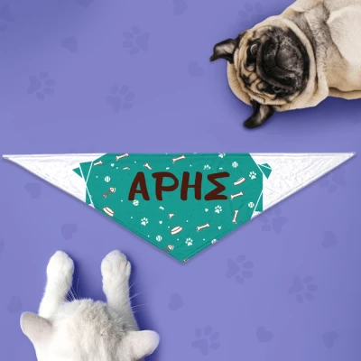 Μπαντάνα σκύλου - Εξερευνητής