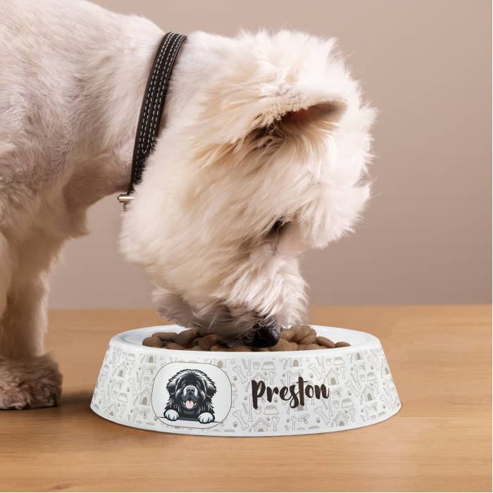 Προσαρμοσμένο πλαστικό μπολ για σκύλους - Η φυλή του σκύλου