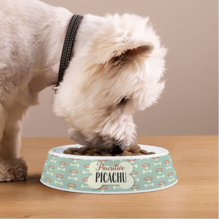 Προσαρμοσμένο πλαστικό μπολ για σκύλους - Θετική πατουσίτσα