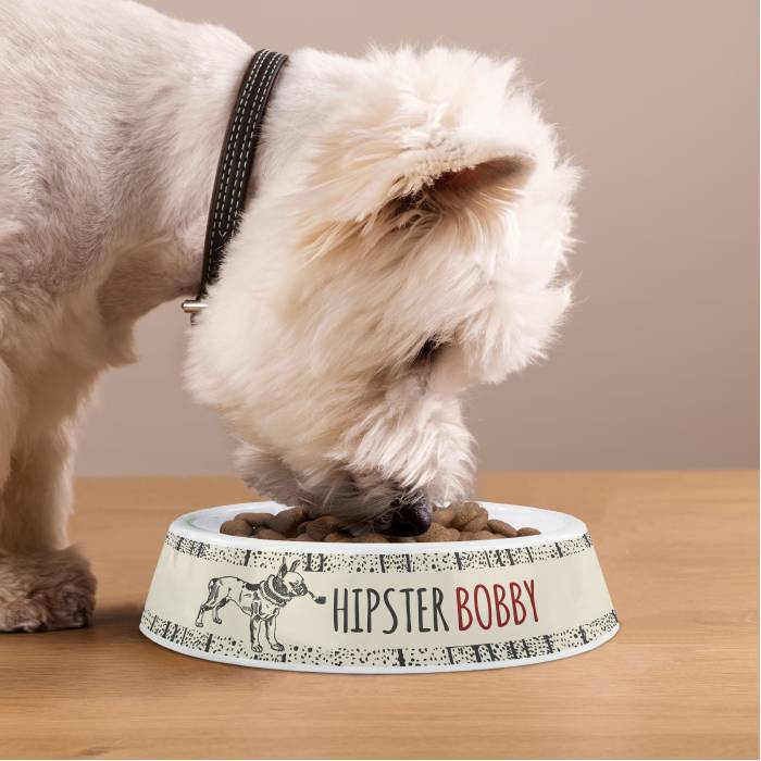 Προσαρμοσμένο πλαστικό μπολ για σκύλους - Χίπστερ