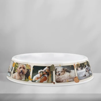 Εξατομικευμένα πλαστικά μπολ