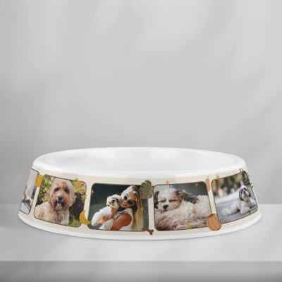 Προσαρμοσμένο πλαστικό μπολ για σκύλους – Φωτοκολάζ