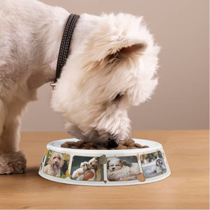 Προσαρμοσμένο πλαστικό μπολ για σκύλους – Φωτοκολάζ