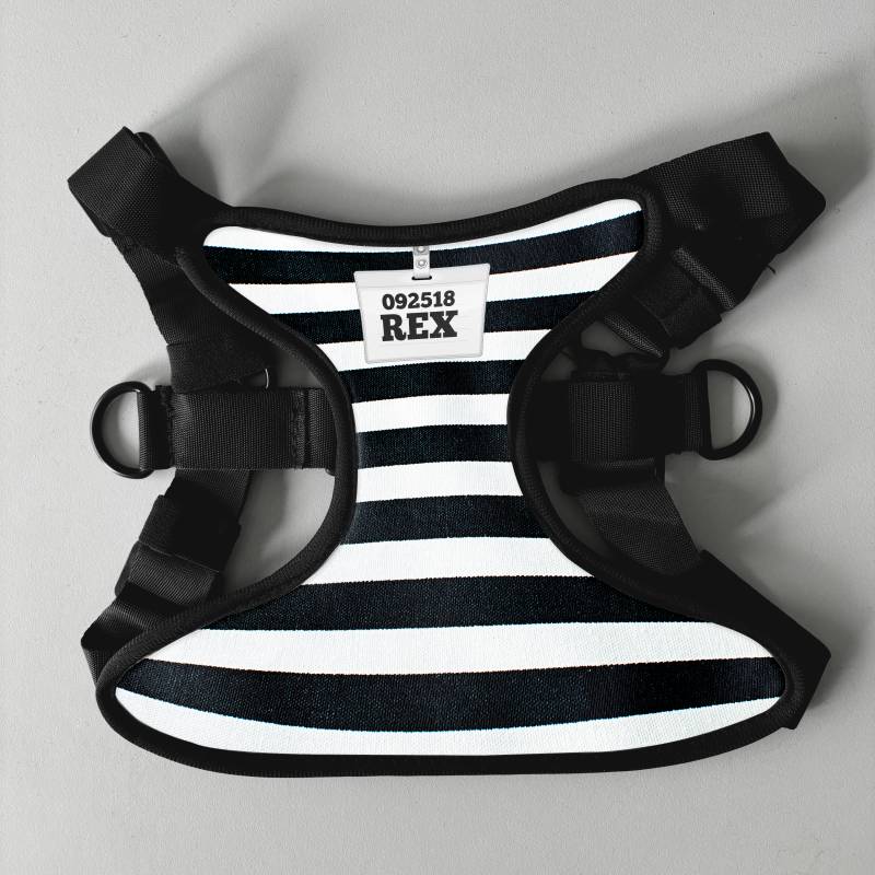 Εξατομικευμένη σαμαρά για σκύλο - Φυλακή