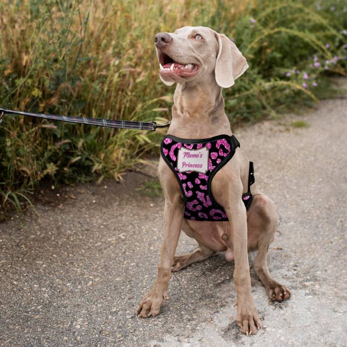 Εξατομικευμένη σαμαρά για σκύλο - Πριγκίπισσα