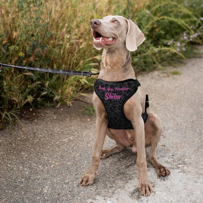 Εξατομικευμένη σαμαρά για σκύλο - Θηρευτής