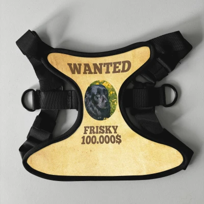 Εξατομικευμένη σαμαρά για σκύλο - Wanted