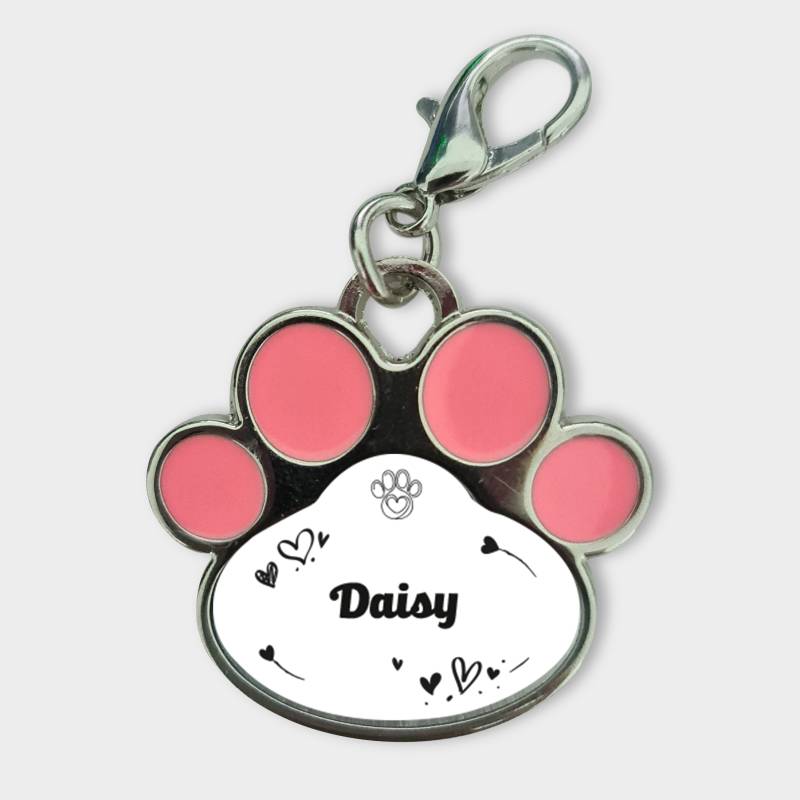 Εξατομικευμένο μενταγιόν για ζώα – Χαραγμένο με το όνομα του ζώου