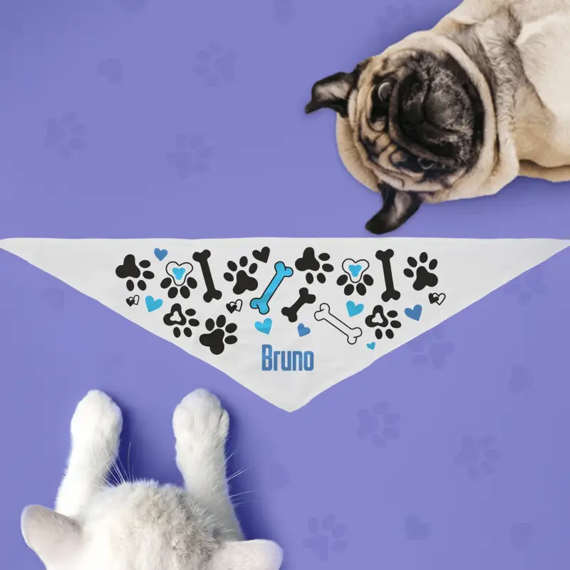 Μπαντάνα σκύλου - Κόκαλα