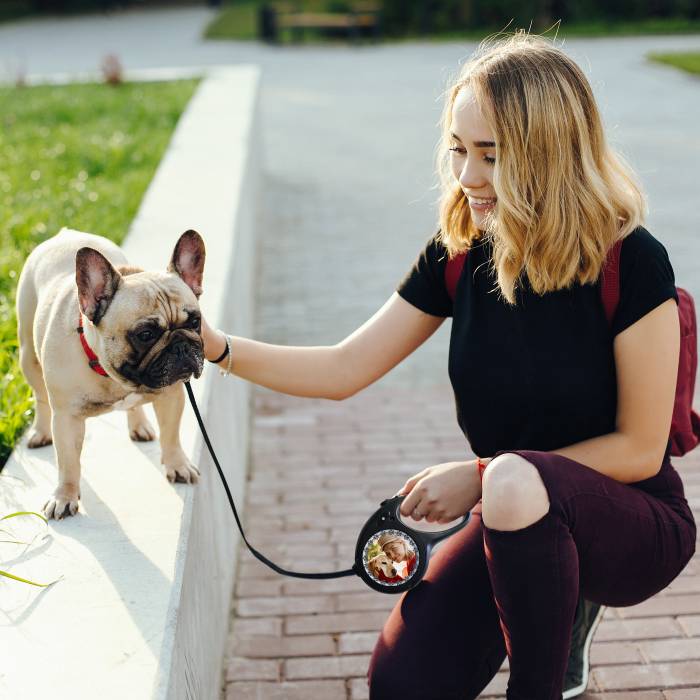 Λουρί για σκύλο - Με αριθμό τηλεφώνου
