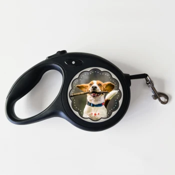 Εξατομικευμένος λουρί για σκύλους