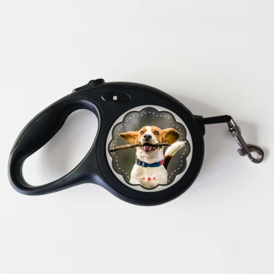 Λουρί για σκύλο – Ό,τι χρειάζεστε