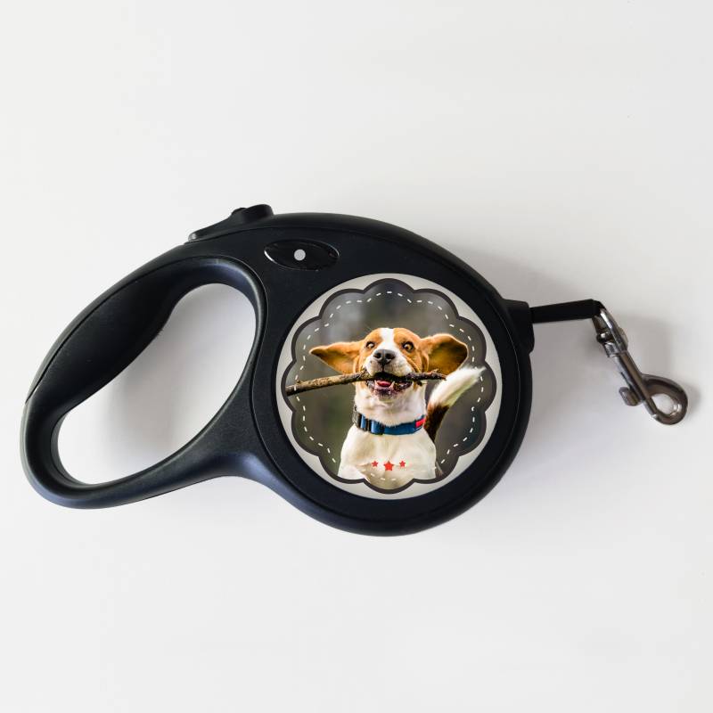 Λουρί για σκύλο – Ό,τι χρειάζεστε