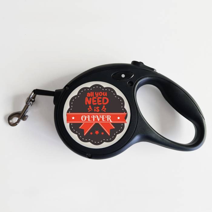 Λουρί για σκύλο – Ό,τι χρειάζεστε